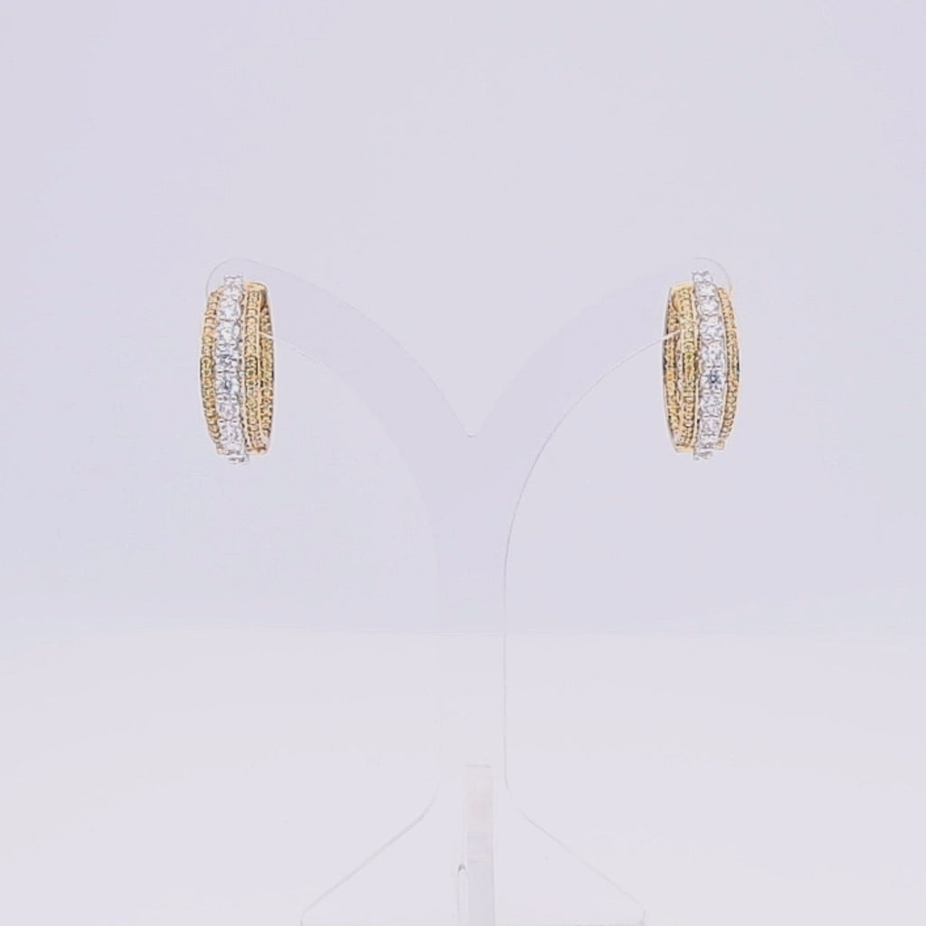 Timeless Gleam Earrings