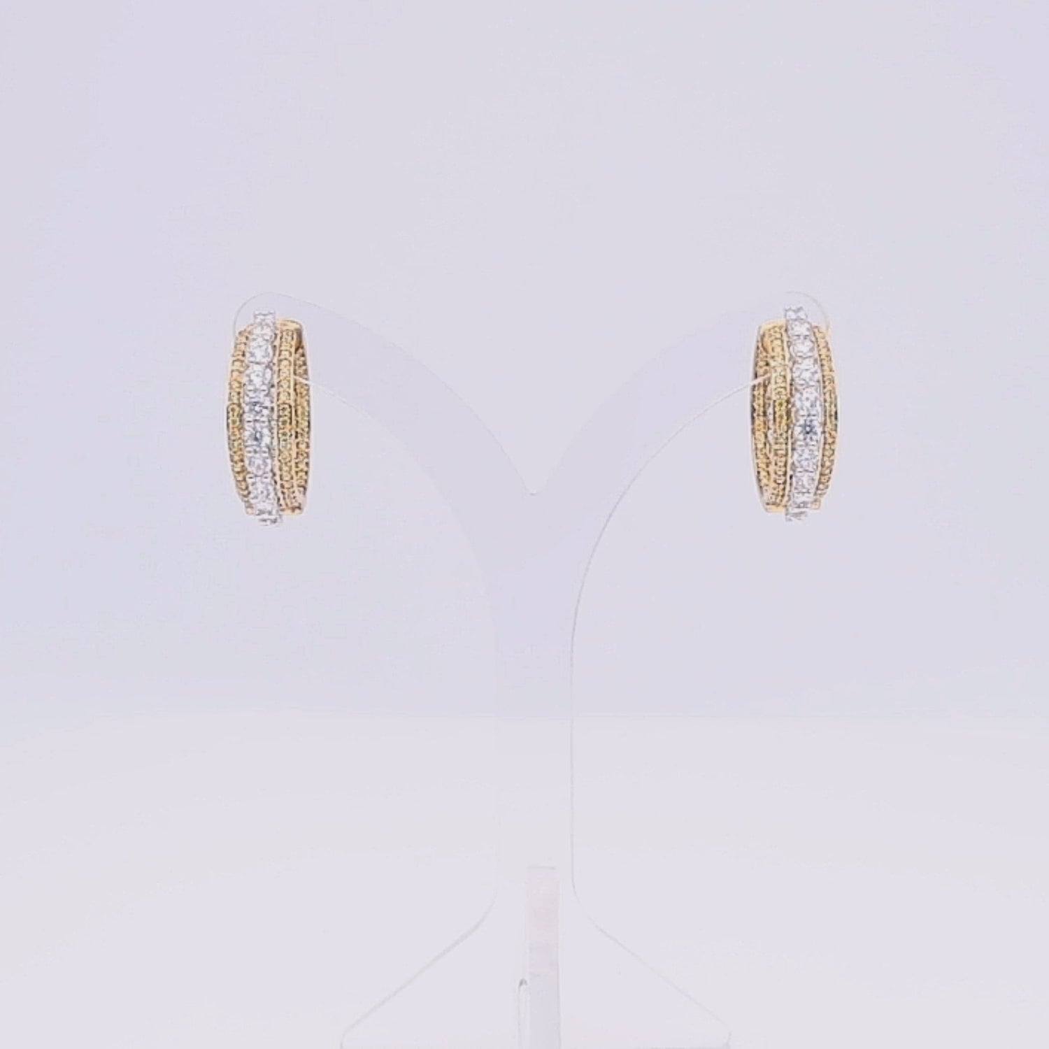 Timeless Gleam Earrings